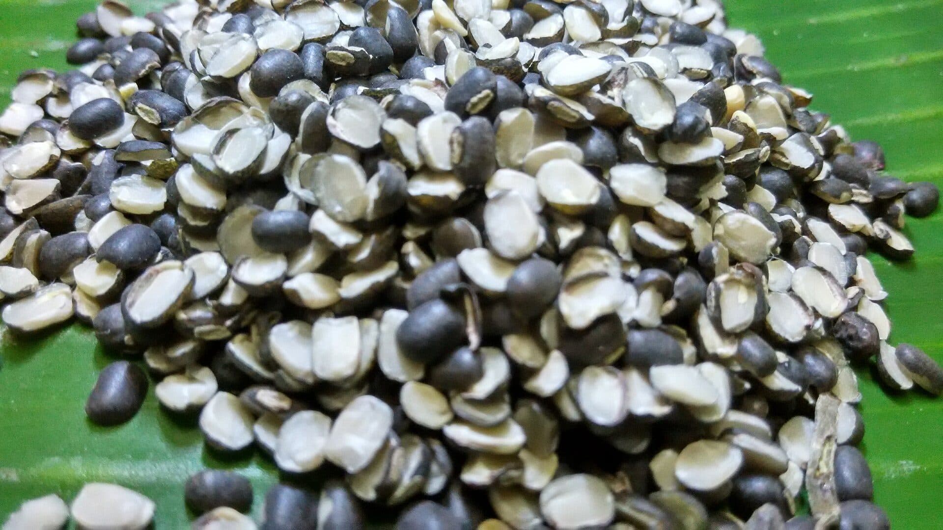 Urad Dal — Khetarwala